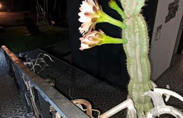 Bicycle House - Foto 75