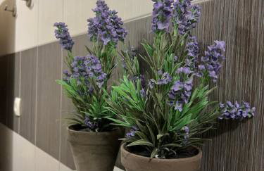 Apartmani Pernjak - Photo 32