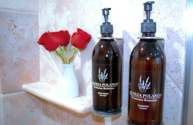 Alteza Polanco - Foto 58