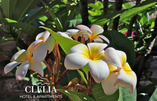 Clelia Case Centro Storico - Foto 17