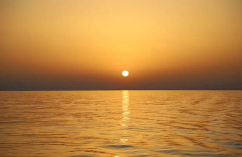 Ocean flat - Foto 60