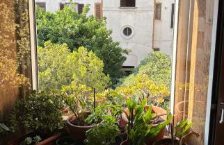 Testaccio 100 - Photo 41