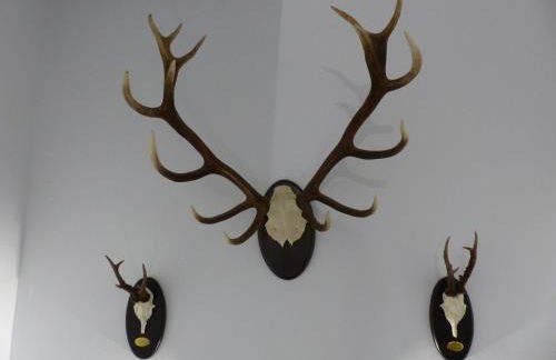 Casa Altemir - Photo 24