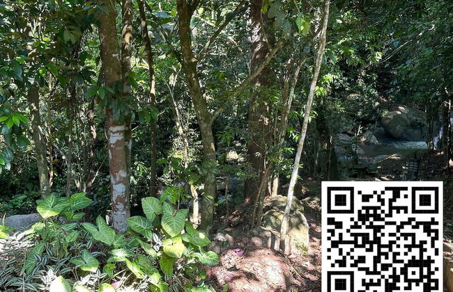 Sítio Morada do Pai com Sinuca e Piscina - Canelinha - SC - Foto 30