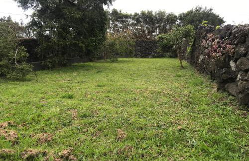 CASA DOS CEDROS - Photo 17