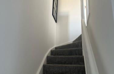 Black Daisy - Foto 15