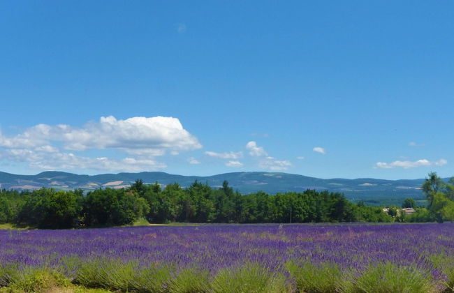 Holiday Home in Pertuis With Private Pool - Foto 32