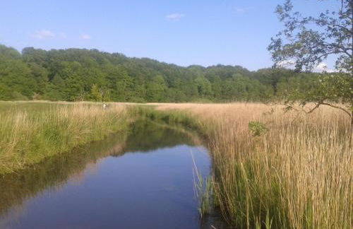 Ostsee Reetkate - Foto 64