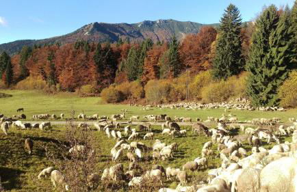 Casa Camilla Holiday - Foto 111