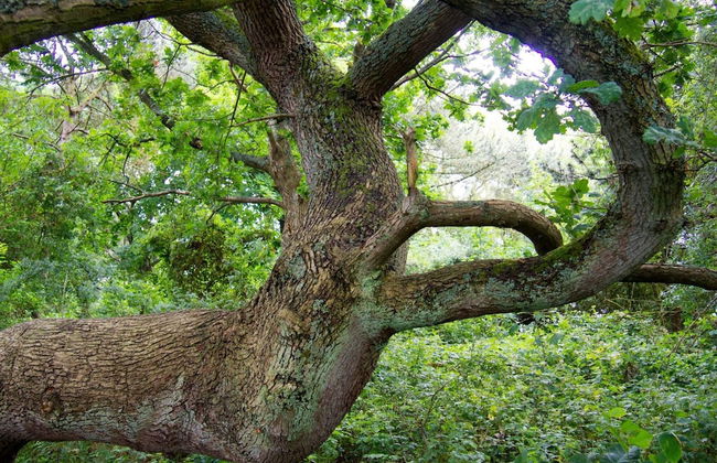 4 Star Holiday Home in Praesto - Foto 19