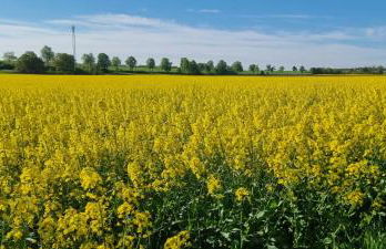 Ferienhaus Q1, Ruhe und Erholung in der Eifel - Foto 4