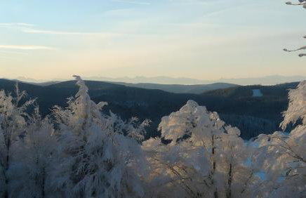 Reesbauernhof - Fewo Abendrot - Photo 13