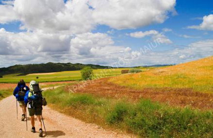 Apartamentos Amaiur - Foto 21