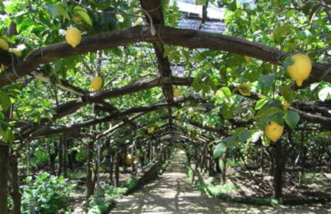 Angolo di Paradiso - Deluxe Holiday Home - Foto 49