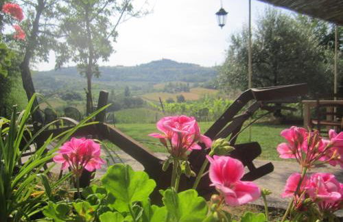 Agriturismo le Spighe - Fattoria Bertaccini - Foto 19