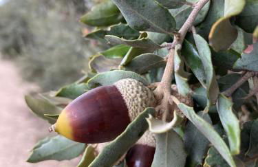 Casa El Encuentro - Turégano Segovia - Foto 9