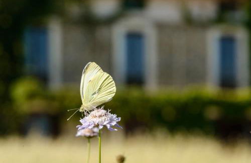 Casa Sarasa - Foto 23