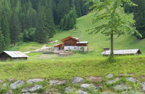 Maso Coler - Foto 54