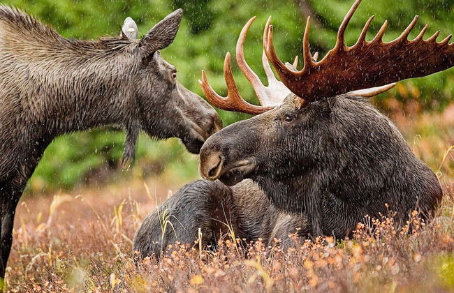 8 Person Holiday Home in Lycksele-by Traum - Foto 8