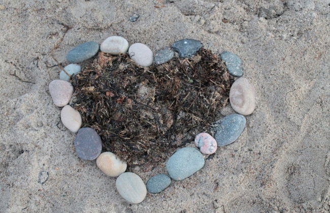 Ferienhaus in der Naehe der Ostsee - Photo 76