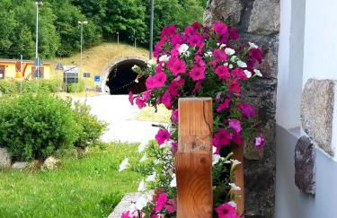 Casa Lausen - Foto 55