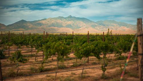 Casa Barbera at Tirrito Farm - Foto 4