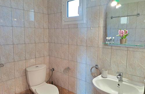 Villa Nikolas Limni - Photo 64