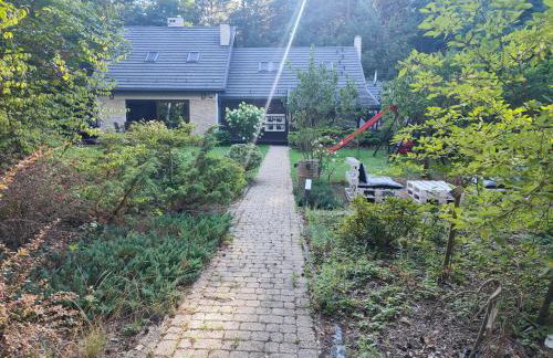 FORREST DOM w LESIE - Foto 13