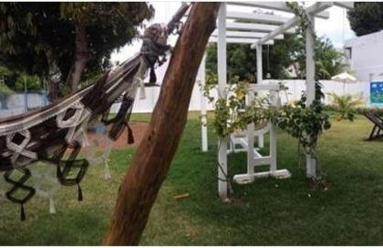 Solar da Mangueira - Photo 15