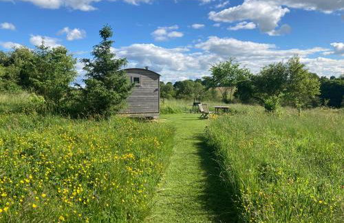 The Shepherd's Hut with cozy logburner - Foto 21