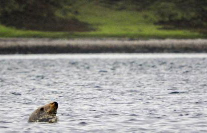 The BoatHouse - Foto 16