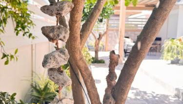 Petite Fleur - Photo 4, Garden, Garden view