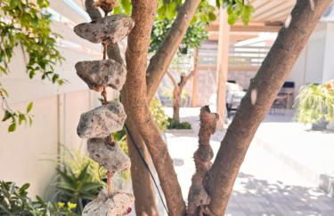 Petite Fleur - Photo 4