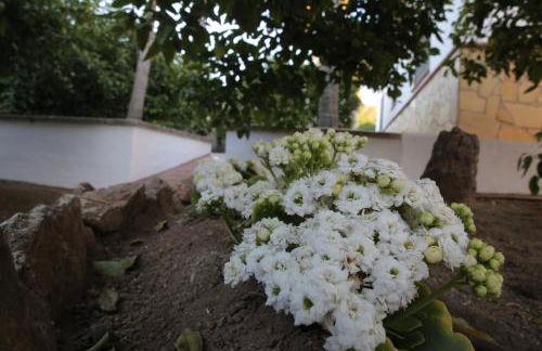 Casa Rural Típica Andaluza, WiFi,Piscina, Barbacoa, Aire Acondicionado, 5min Centros - Photo 30