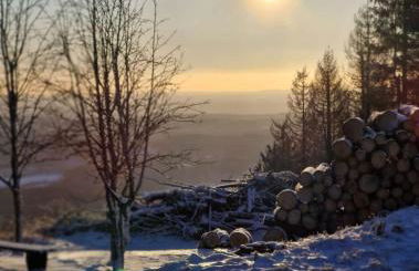 Ferienwohnung Am Blessberg in Stelzen - Foto 6
