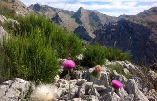 Saluda Alta - Foto 56