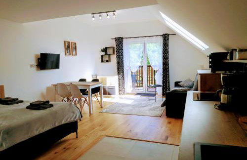 nowe Apartamenty górskie krajobrazy z widokiem na Śnieżnik - Willa Sowia - Foto 21