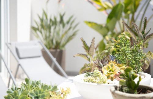 Ático con terraza La Venencia - Foto 6