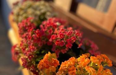 Chalé House Falkenberg - Foto 5