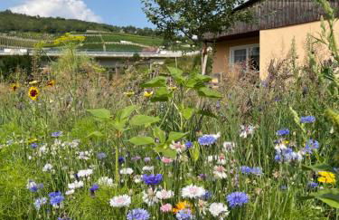 Ferienhaus Gutedel - Foto 1