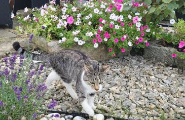 Apartament Różane Wzgórze - Foto 61