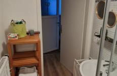 Orchidee 2 - Photo 13