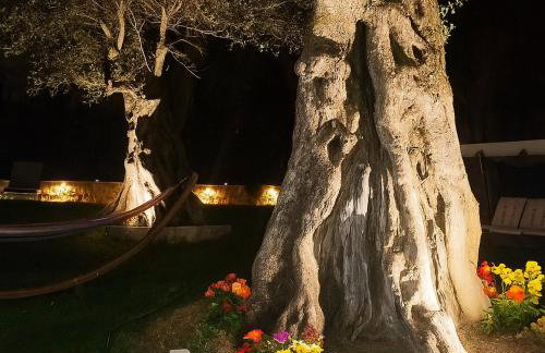 KELLY APARTMENTS - Photo 37