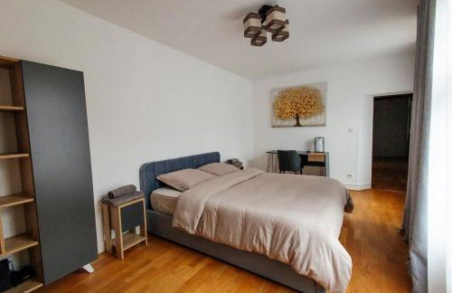 La Cure grand appartement familial 3 chambres avec terrasse et parking à 10 minutes de Colmar - Foto 11