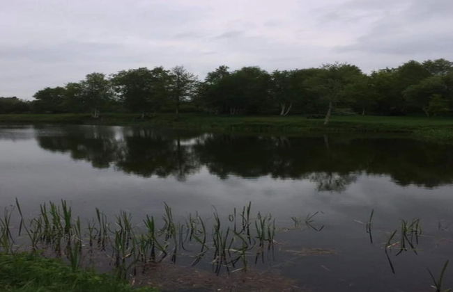 6 Person Holiday Home in Kibaek - Foto 20