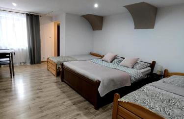 Agroturystyka u podnóża Gór Sowich - Foto 42