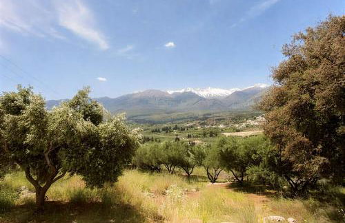 5-bedroom Country House in Crete - Olive Grove Retreat - Foto 22