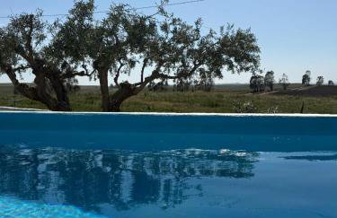 Canto da Planície - Photo 46