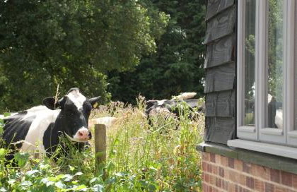 Bull Farm Studios - Foto 35