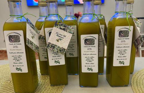 La Casa del Flamenco - Foto 53